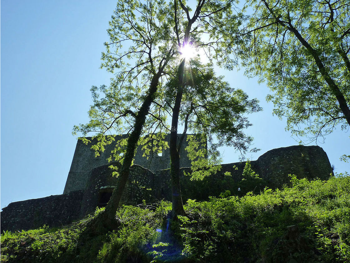 Die Weidelsburg bei Naumburg (Foto: Karl-Franz Thiede)